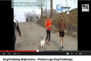 Dni Wąbrzeźna dog treking