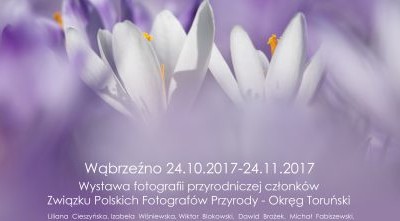 Wystawa-Wąbrzeźno_Za ulotną chwilą